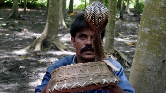 حضر المهرجان مئات من المؤمنين الهندوس. (أ.ف.ب.)