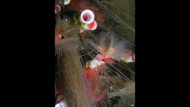 जनता से की जा रही रायशुमारी तीन नवंबर 2013 को समाप्त होगी. ज़्यादा जानकारी इस लिंक से हासिल की जा सकती है 