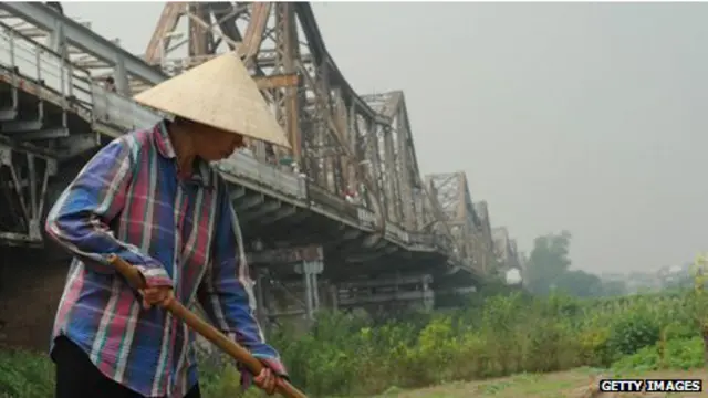 Một phụ nữ đang làm vườn trên bãi sông Hồng