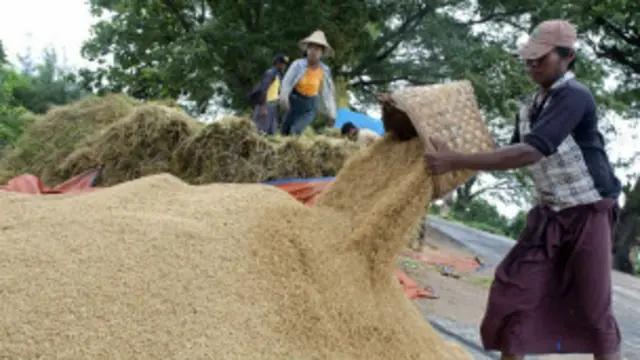 _rice_myanmar