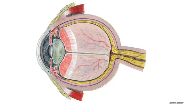 पानी के रंगों से बनाई गई जोआना कुली की तस्वीर
