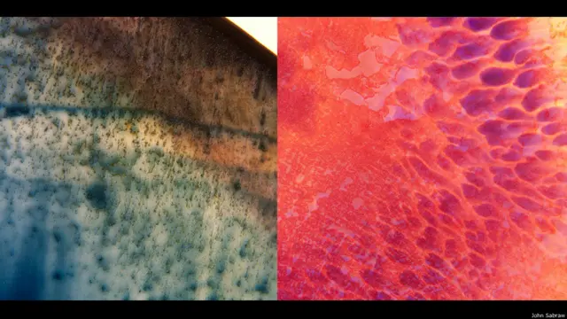 जॉन सबरॉ