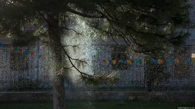 Самарқанд фонтанчалари