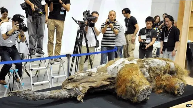 लुप्त हो चुके जीव, प्रजातियाँ