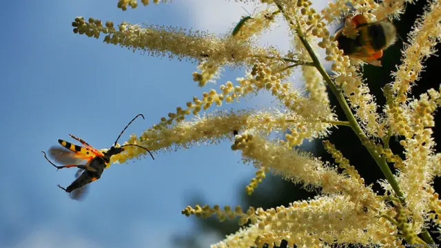 Фото: Александр Вольтер