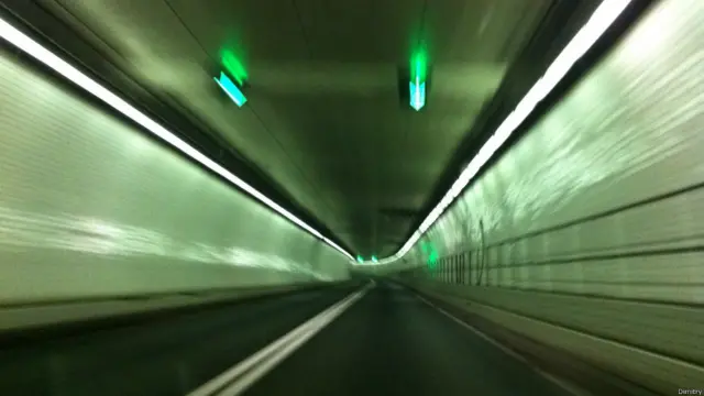 Фото: Димитрий