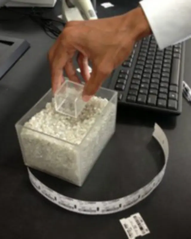 गेबोरोन, बोट्सवाना