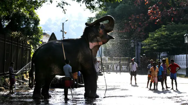 श्रीलंका में बौद्ध धार्मिक उत्सव का आयोजन