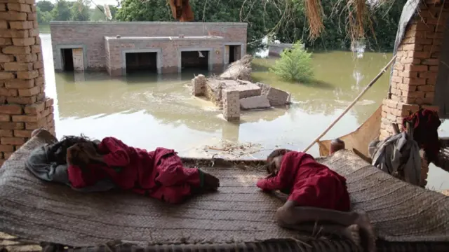 متاثرینِ سیلاب میں سے پانچ لاکھ سے زیادہ کا تعلق پنجاب سے ہے