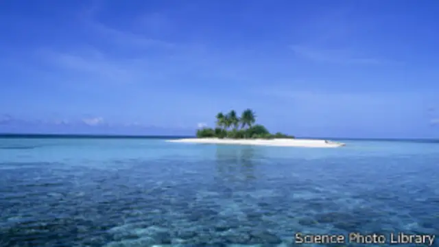 Maldives, SPL