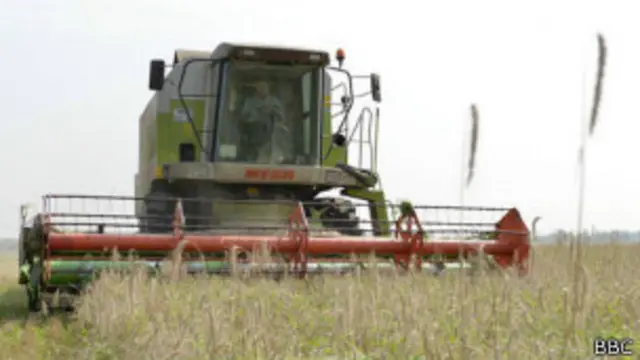 Вступление России в ВТО добавило проблем производителям комбайнов
