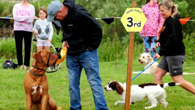 डर्बीशायर में होने वाले कैपेबल कैनाइंस डॉग शो में डेनिस चेरमैन और डाउज डे बॉर्डेक्स संयुक्त रूप से तीसरे स्थान पर आए.