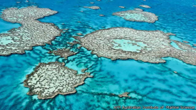 Gran Barrera de Coral