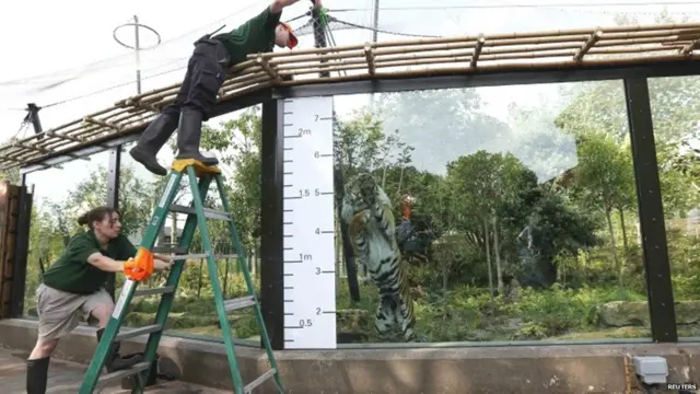 लंदन चिड़ियाघर ऑडिट