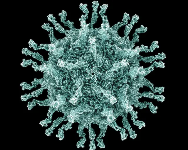 صورة بالمجهر الالكتروني لفيروس شلل الاطفال