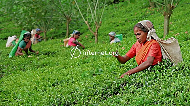 Internet.org dinilai kelompok pelindung hak digital sebagai perangkat yang mengancam privasi, kebebasan berekspresi, serta prinsip netralitas internet