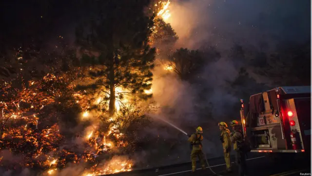 जंगल की आग