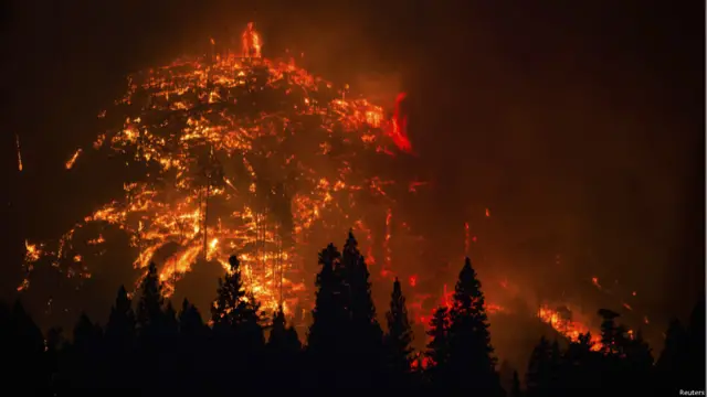 जंगल की आग