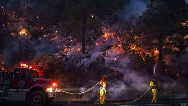 जंगल की आग