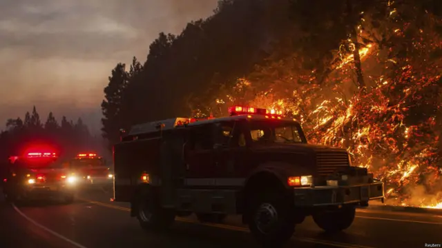 जंगल की आग