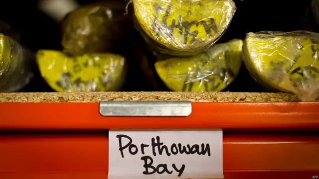 कॉर्नवैल, दक्षिण पश्चिम इंग्लैंड, पॉर्थटोवान बे, पर्यावरण