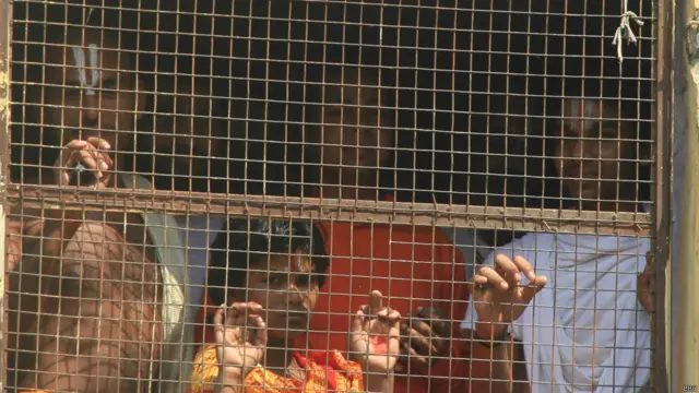 84 कोसी परिक्रमा