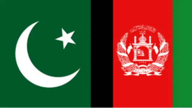 پاکستان: برای حمایت از تلاش ها جهت برگزاری انتخاباتی صلح آمیز طبق وعده ترتیبات امنیتی در مرز را تقویت کردیم