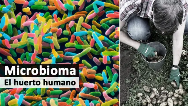 Microbioma título