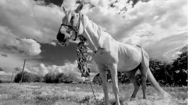 Фото: Александр