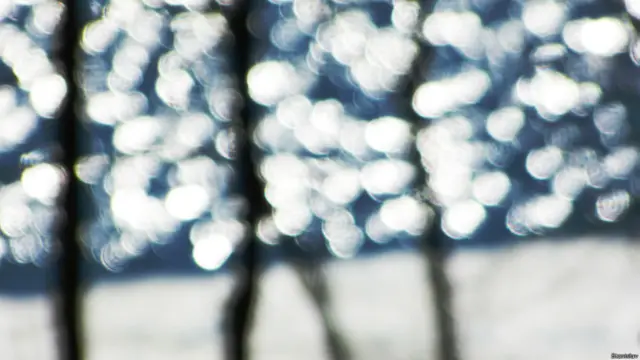 Фото: Станислав