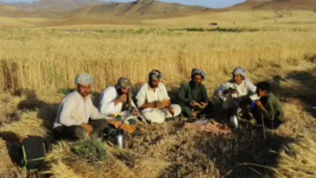 زارعین افغانستان علیرغم پشتکار بسیار زیاد، توان فیزیکی برای مقابله با سختیهای طبیعی را ندارند و دلیل آن سواد بسیار پایین و مهارت علمی محدود این افراد است.