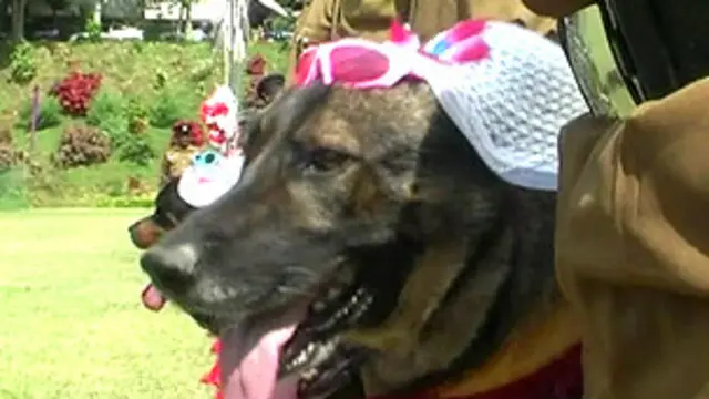 پولیس کے سپاہیوں نے اس پروقار تقریب میں تقربیاً ایک ہزار مہمانوں کو دودھ، چاول اور کیک پیش کیا