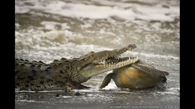 अलेजांद्रो पेरेटो 