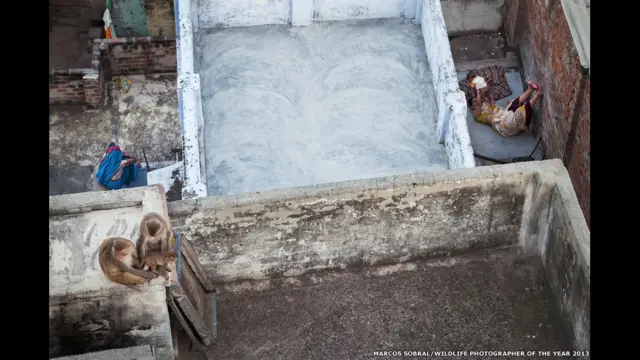 मार्कोस सोबराल, पुर्तगाल