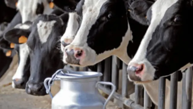 د زراعتي فارم یوه بزګر وویل چې دی یوازې د ورځې له خوا کولای شي خپل څاروي ۱۸ ساعته وڅاري خو یو کمپیوټر ۲۴ ساعته څارنه کوي.