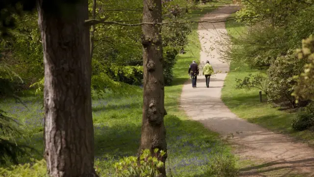 सिज़ेर्ग का महल, साउथ लेक ज़िला नेशनल ट्रस्ट