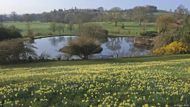 स्पैरो डेल, शेरिंघम पार्क, नेशनल ट्रस्ट