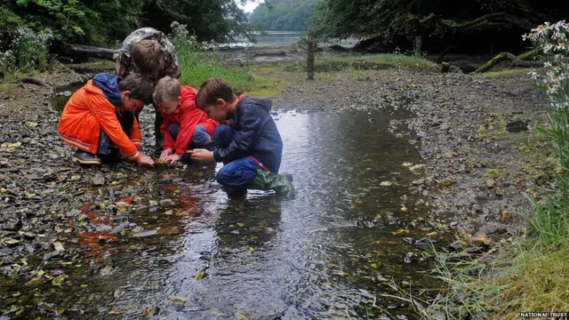 ट्रेलिसिक गार्डेन, नेशनल ट्रस्ट