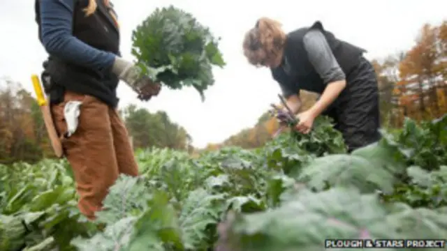 खेती, किसान, अमरीका