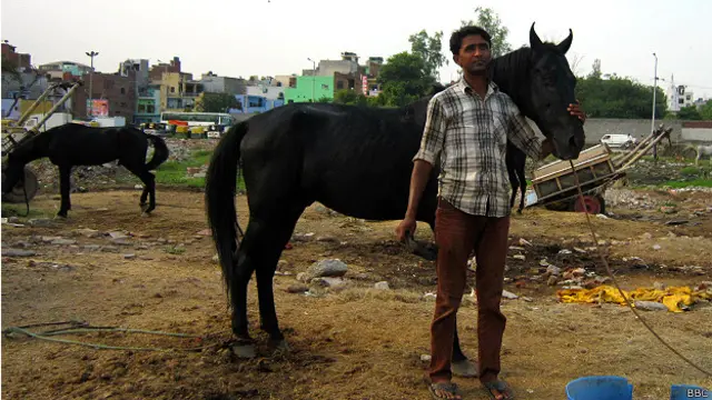 काला घोड़ा, नाल, सौभाग्यशाली, गौतमपुरी, लदाई, दिल्ली