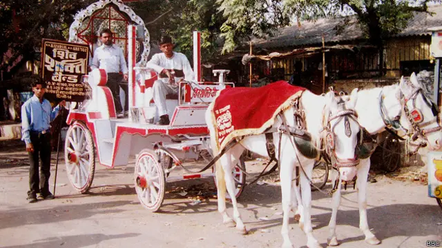 काला घोड़ा, नाल, सौभाग्यशाली, गौतमपुरी, लदाई, दिल्ली