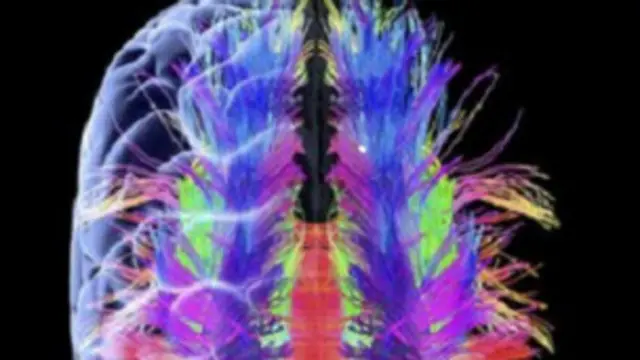 मस्तिष्क, उम्र, यादाश्त