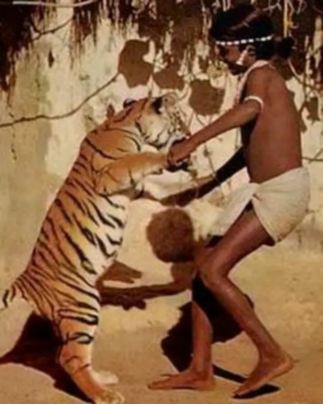 चेंदरू टार्जन ब्वाय