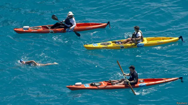 डायना नियाड, ख़तरनाक शार्कों के बीच