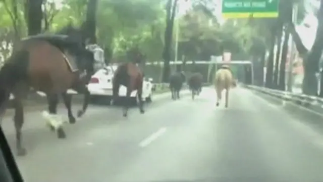 Cavalos cavalgando pelas ruas da Cidade do México. Foto: reprodução de vídeo