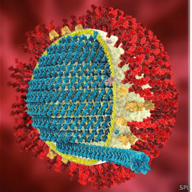Coronavirus