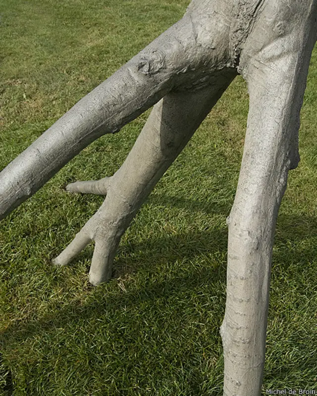 Foto: cortesía Michel de Broin, Collection of the city of Montreal