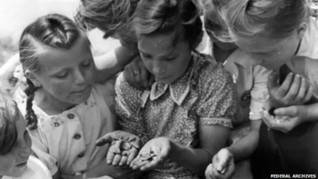 पोटैटो बीटल्स