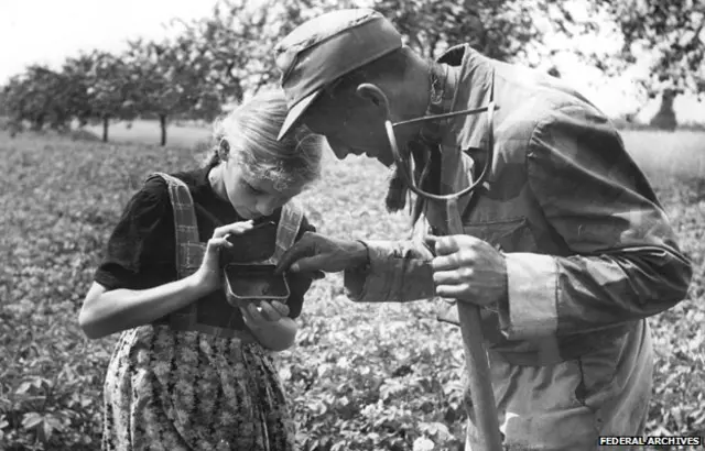 Joven juntando escarabajos
