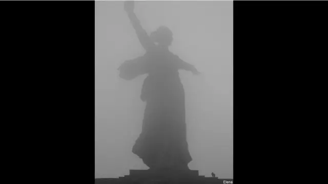 Фото: Елена